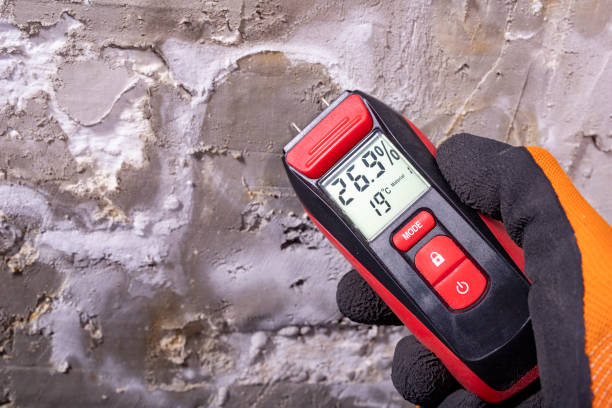 Best Toxic Mold Removal  in Great Falls, VA