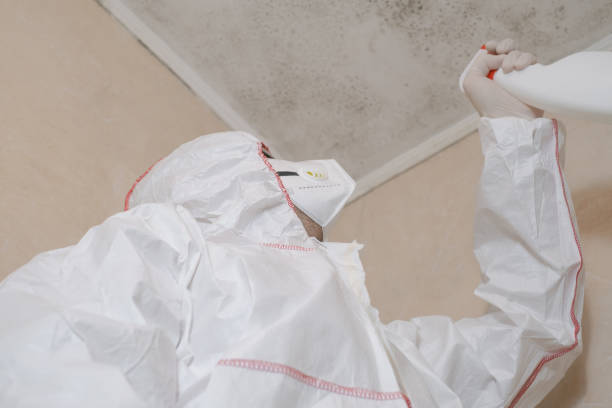 Attic Mold Removal in Great Falls, VA