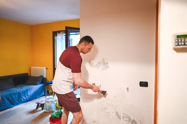 Best Affordable Mold Removal  in Great Falls, VA